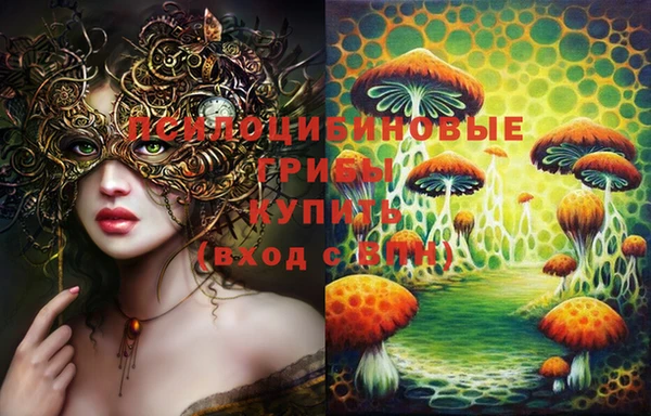 молекула духа Липки