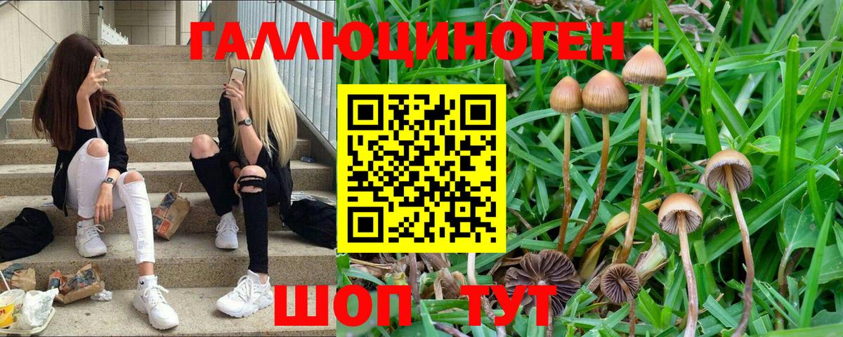 Псилоцибиновые грибы прущие грибы  Вход с VPN  Симферополь 